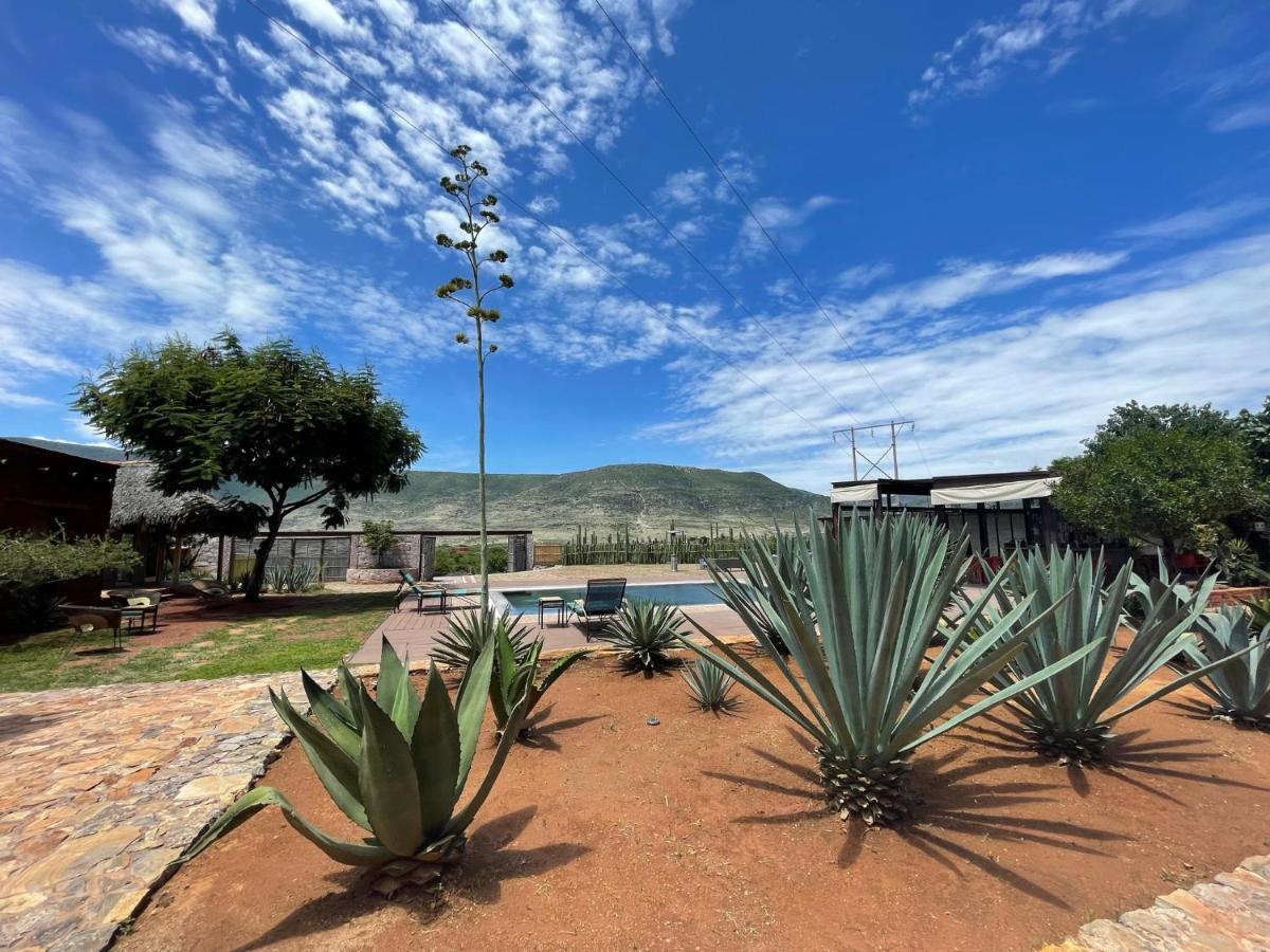 Вилла Casa Regina Oaxaca Сан-Пабло-Вилья-де-Митла Экстерьер фото
