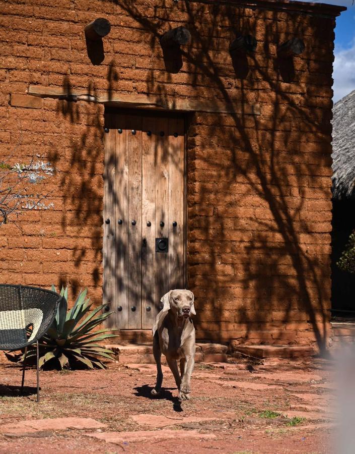 Вилла Casa Regina Oaxaca Сан-Пабло-Вилья-де-Митла Экстерьер фото