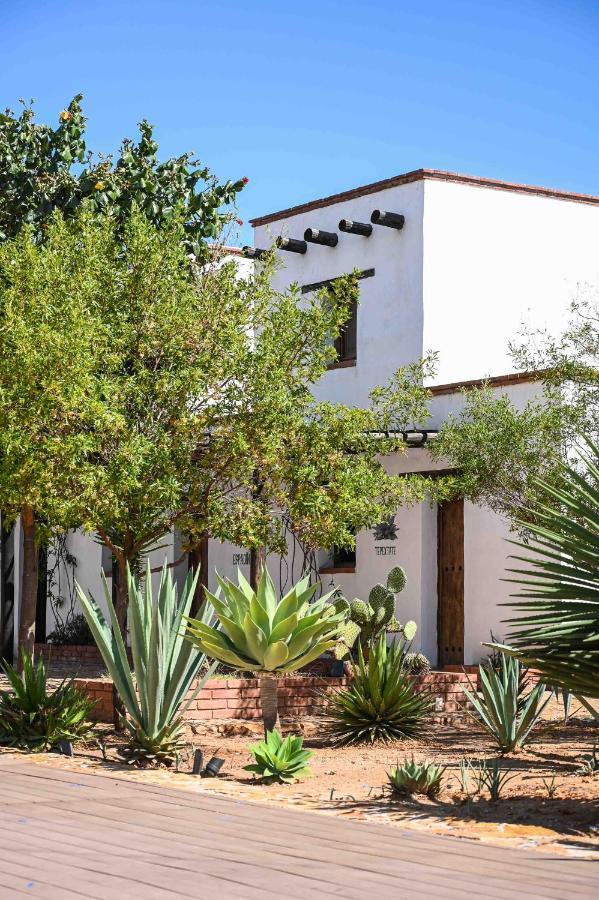 Вилла Casa Regina Oaxaca Сан-Пабло-Вилья-де-Митла Экстерьер фото