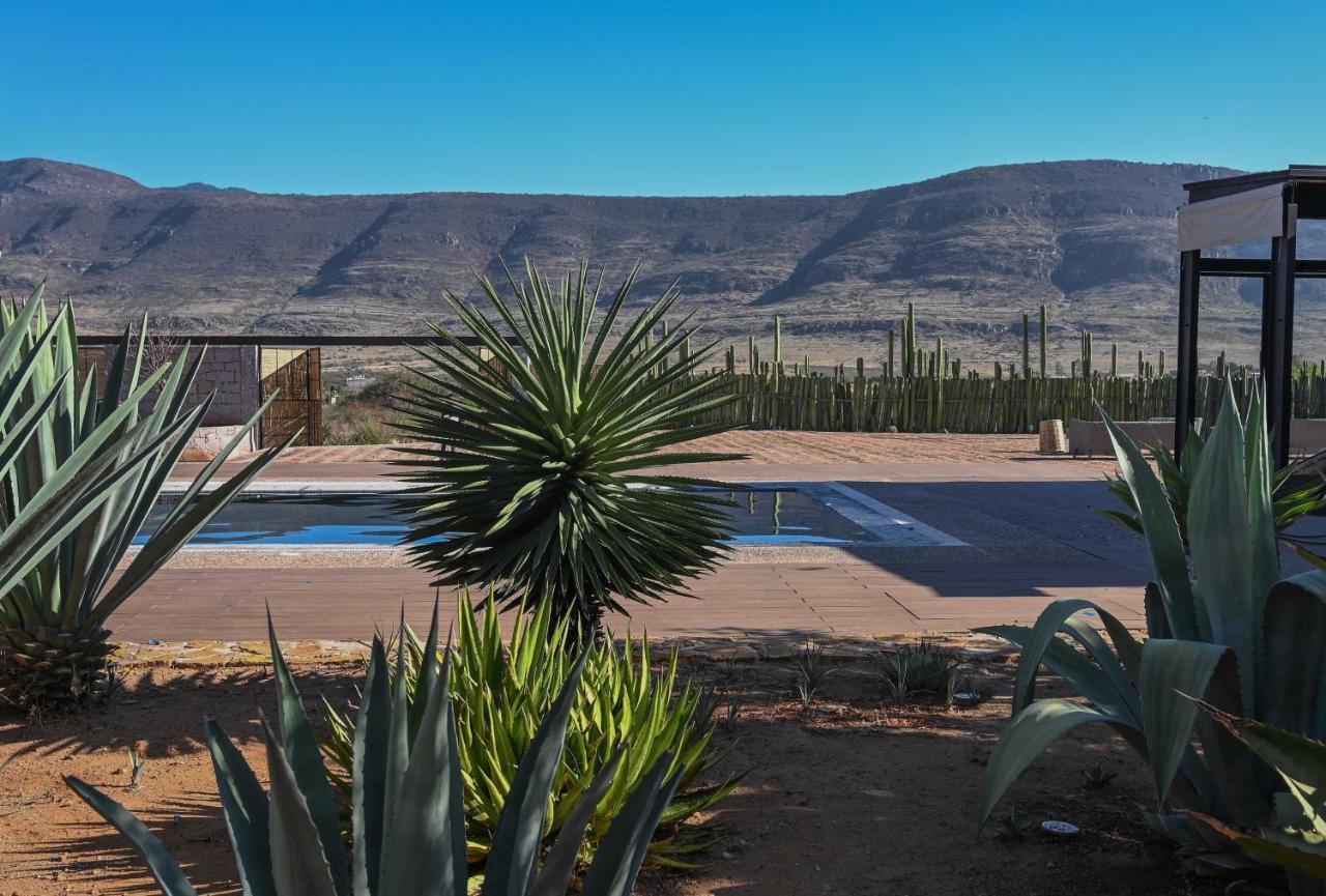 Вилла Casa Regina Oaxaca Сан-Пабло-Вилья-де-Митла Экстерьер фото