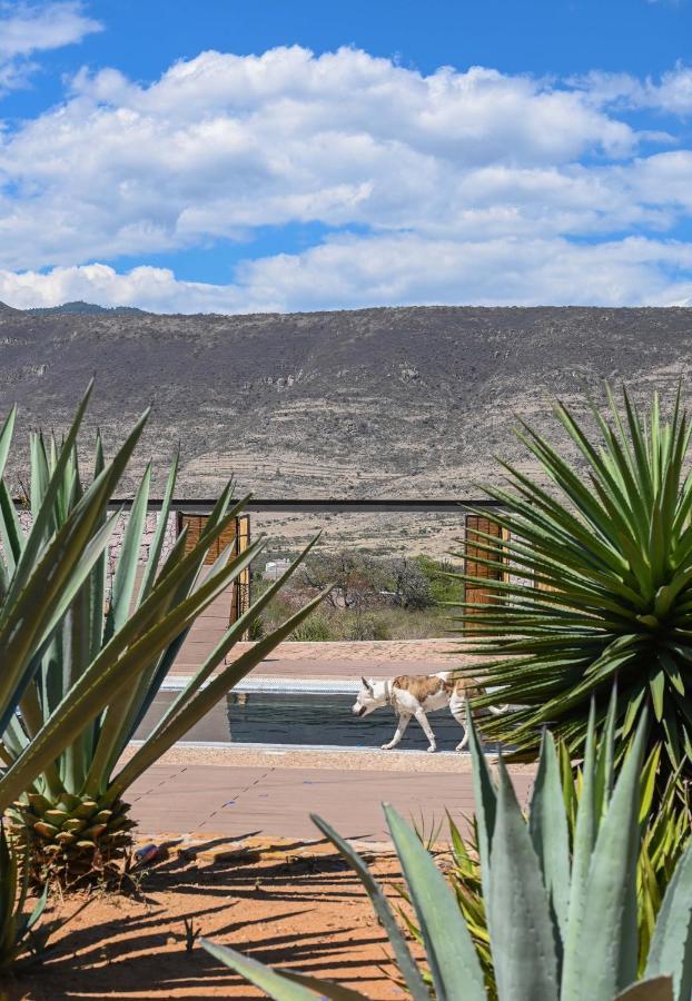 Вилла Casa Regina Oaxaca Сан-Пабло-Вилья-де-Митла Экстерьер фото