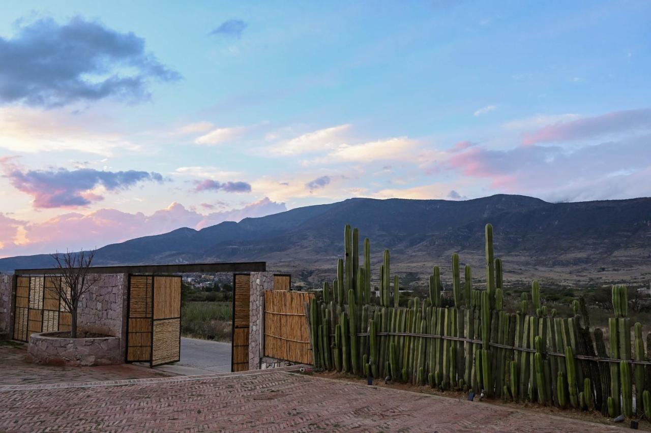 Вилла Casa Regina Oaxaca Сан-Пабло-Вилья-де-Митла Экстерьер фото