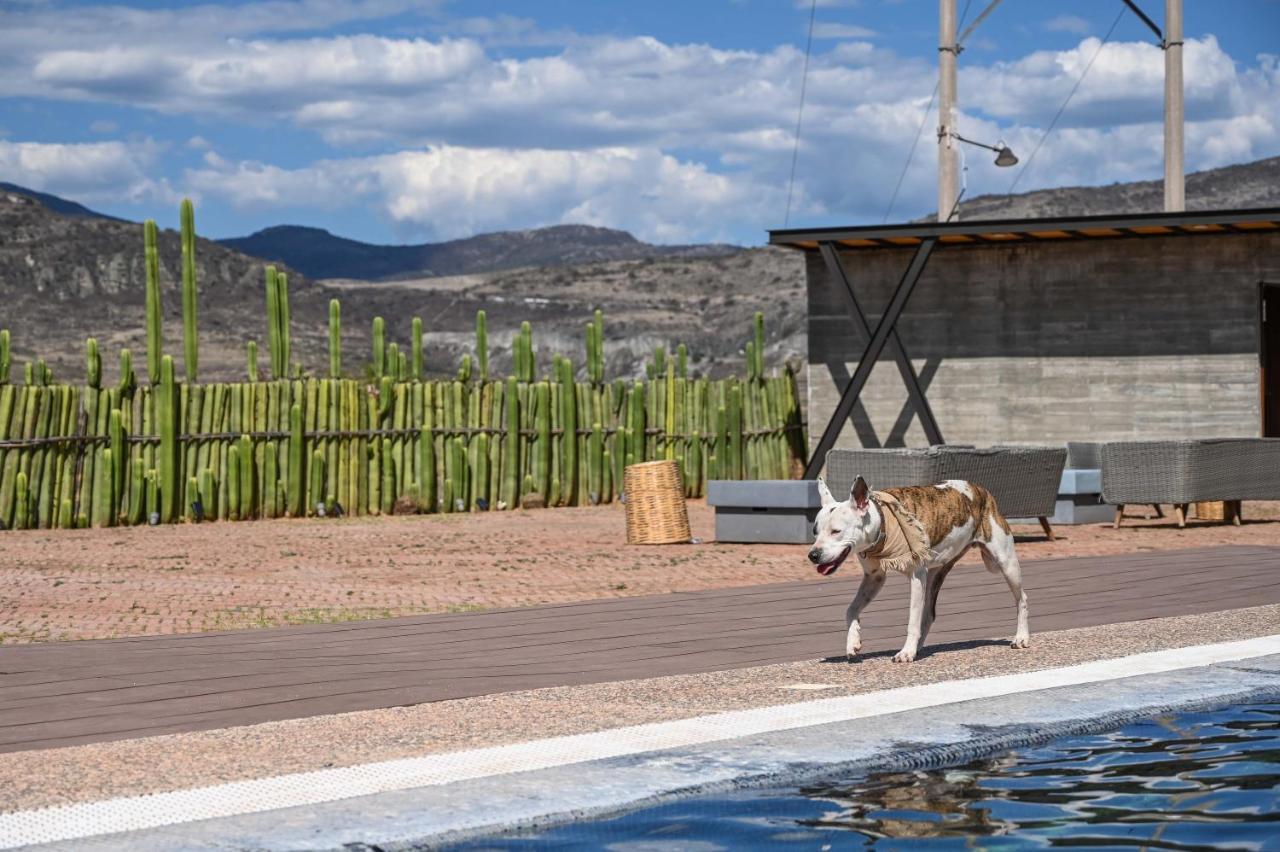 Вилла Casa Regina Oaxaca Сан-Пабло-Вилья-де-Митла Экстерьер фото